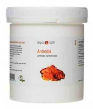Antrodia Camphorata Mushroom Powder (200 g)