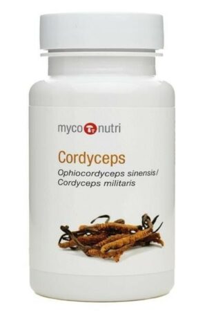 Cordyceps (60 Capsules)